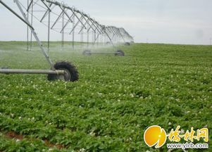 農(nóng)機(jī)補(bǔ)貼精準(zhǔn)落地，我市現(xiàn)代農(nóng)業(yè)發(fā)展注入新動(dòng)能