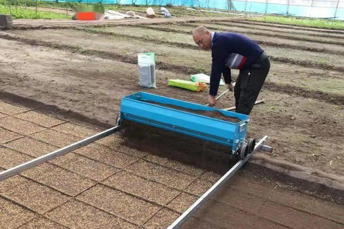 責(zé)任鑄就誠(chéng)信，匠心滋養(yǎng)沃土——記興安盟嶺南香農(nóng)產(chǎn)品開(kāi)發(fā)有限責(zé)任公司的農(nóng)業(yè)開(kāi)發(fā)之路