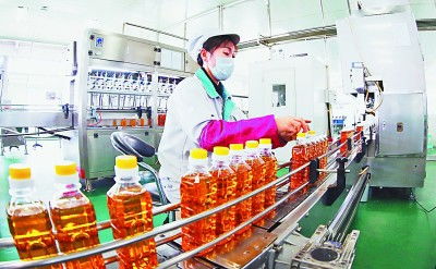 吉林 厚植黑土優(yōu)勢(shì)，賦能農(nóng)業(yè)升級(jí)，擘畫(huà)現(xiàn)代農(nóng)業(yè)新藍(lán)圖