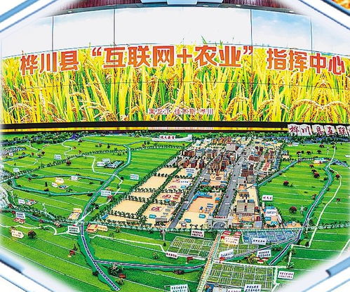 樺川以高標準鏈出農業發展新稻路 構建現代農業發展體系